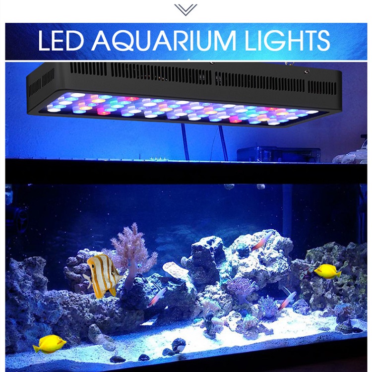 BT Wireless Control DIY Spectr - огляд і ціна Marine Aquarium Used